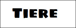 websitejuni2026004006.jpg