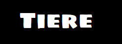 websiteokt2025005005.jpg